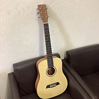 S.yairi YM-02NTL ミニアコースティックギター ソフトケース付き